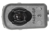 Vaico Trunk Gas Strut - VW/Audi 4A9827552-VAI