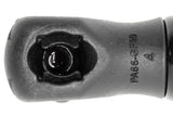 Vaico Trunk Gas Strut - VW/Audi 561827550D-VAI