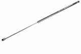 Hood Gas Strut - VW/Audi | 8U0823359B