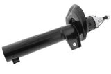 Shock Absorber - VW/Audi | 1T0413031CE
