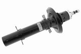 Shock Absorber - VW/Audi | 1J0413031AM