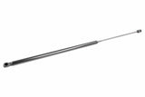 Hood Gas Strut - VW/Audi | 4M0823359C
