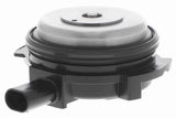 Variable Valve Timing Position Sensor Magnet - BMW | 11367614288
