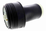 Air Spring Strut - BMW | 37126790081