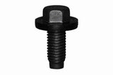 Oil Pan Drain Plug - Ford | 3051079
