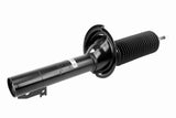 Shock Absorber - Ford | 4560017