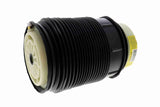 Air Spring Strut - Mercedes-Benz | 2123204325