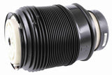Air Spring Strut - Mercedes-Benz | 2123204025