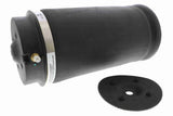 Air Spring Strut - Mercedes-Benz | 1663200325