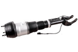 Air Spring Strut - Mercedes-Benz | 1663205266
