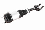 Air Spring Strut - Mercedes-Benz | 1663204966