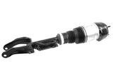 Air Spring Strut - Mercedes-Benz | 1663201368