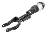 Air Spring Strut - Mercedes-Benz | 1663205666