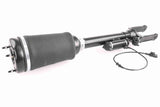 Air Spring Strut - Mercedes-Benz | A1643206013