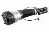 Air Spring Strut - Mercedes-Benz | A2213204913