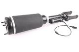 Air Spring Strut - Mercedes-Benz | A2513203013