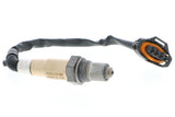 Oxygen Sensor - Opel | 55562206