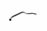 Crankcase Ventilation Hose - Saab | 55560462