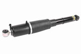 Air Spring Strut - General Motors | 22187156