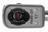 Vaico Trunk Gas Strut - Hyundai 8177025220-VAI