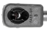 Vaico Rear Window Gas Strut 871703E010-VAI