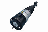 Air Spring Strut - Tesla | 600635100D