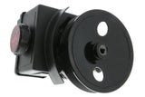 Power Steering Pump - Volvo | 8251728