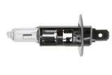 Bulb - Universal | V99840012