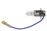 Bulb - Universal | V99840013