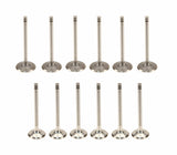 AE Valve - Complete Set - VW 12v VR6 | VALVES-12V-VR6-SET