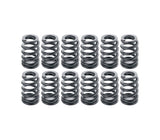 Ferrea Single Intake Valve Spring Kit  - VW/Audi / 1.8T 20V | S10055-X12