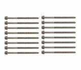 Complete Cylinder Head Bolt Set - VW/Audi All 2.9T & 3.0T | WHT005739