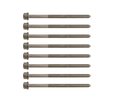 Cylinder Head Bolt Set - VW/Audi All 2.9T & 3.0T | WHT005739