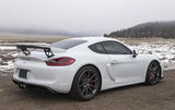 Fabspeed Fabspeed Valvetronic Exhaust System - Porsche 981 Boxster Spyder | Cayman GT4