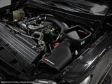 AFE aFe Magnum FORCE Stage-2 Cold Air Intake System w/ Pro DRY S Media 16-19 Nissan Titan XD V8-5.0L(td) 54-13026D