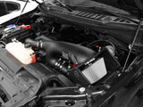 AFE aFe MagnumFORCE Pro DRY S Stage-2 Intake System 16 Ford F-150 EcoBoost V6-2.7L/3.5L (tt) 51-32642-1B