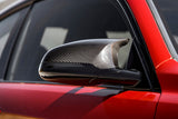 Dinan Dinan Mirror Cap Set (Carbon Fiber) - BMW / F80 / F82 / F83 / F87 D980-0025