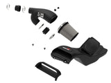 aFe POWER Momentum GT Pro Dry S Intake System 2021+ Ford F-150 V6-3.5L (tt) | 50-70072D