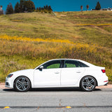 034 Motorsport 034Motorsport Dynamic+ Lowering Springs - Audi / 8V / A3 / S3 (Non-Magride) 034-404-1012