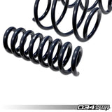 034 Motorsport 034Motorsport Dynamic+ Lowering Springs - BMW / F3X / 320i / 328i / 330i / 335i / 340i / 420i / 428i / 430i / 435i / 440i 034-404-1016