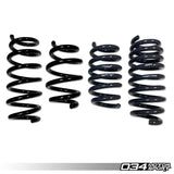 034 Motorsport 034Motorsport Dynamic+ Lowering Springs - Audi / R8 / Gen 1 & 1.5 (4.2 V8 & 5.2 V10) 034-404-1010