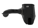 AFE aFe MagnumFORCE Intake Stage-2 Pro Dry S 2019 GM Silverado/Sierra 1500 V6-4.3L V8-5.3/6.2L 54-13036D