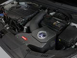 AFE aFe Momentum GT Pro 5R Cold Air Intake System 19-20 Hyundai Veloster N 2.0L (t) 56-70021R