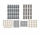 Ferrea Complete Single/Dual Valve Spring Kit - VW/Audi 4.2T 40V | FERVW42TS-KT