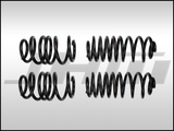 JHM - Lowering Springs, S - Series (JHM) for B8 A4 - S4 | JHM-B8A4S4SSLS