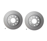 Pagid Rear Brake Disc Set (272x10mm) - VW/Audi / B7 / B7.5 Passat | 561615601A-KT